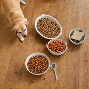 Lepsza jest mokra czy sucha karma dla psa?